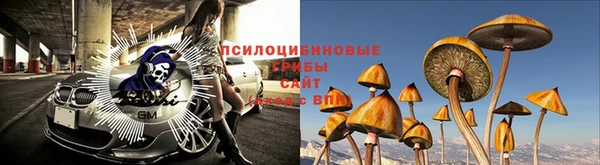 молекула духа Зеленодольск