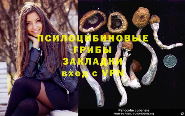 MDMA Premium VHQ Зерноград