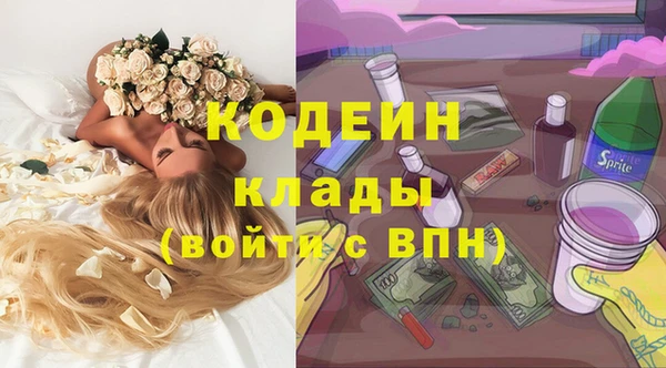 молекула духа Зеленодольск