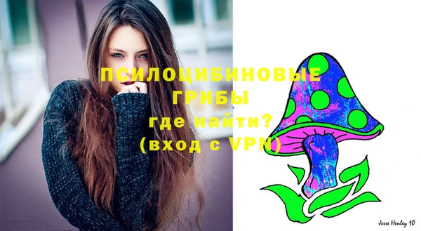 молекула духа Зеленодольск