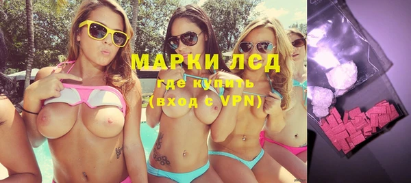 индика Инта