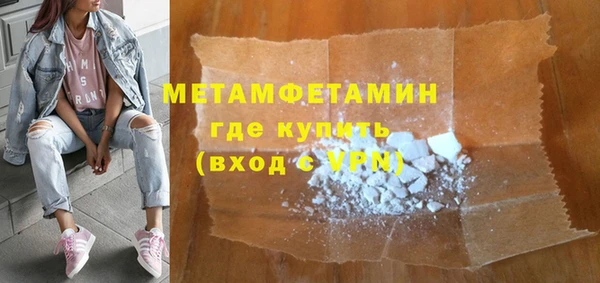 индика Инта