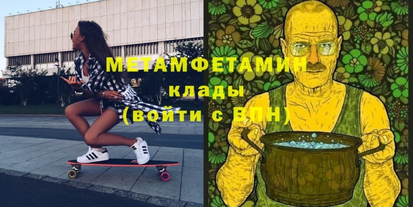 индика Инта