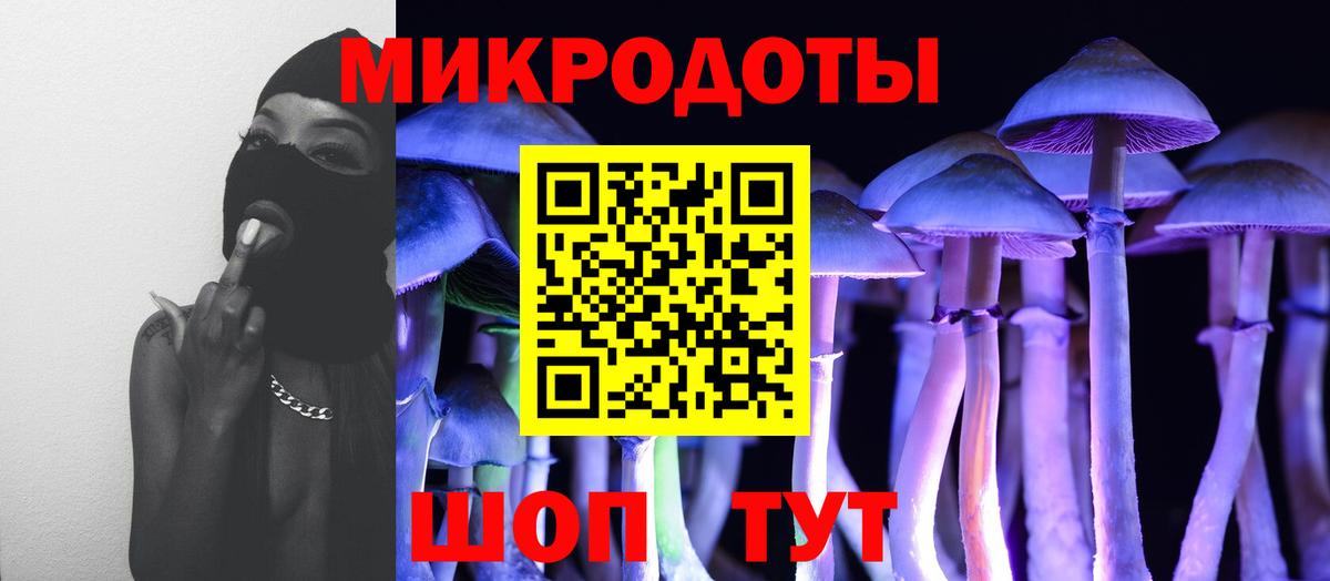 Кызыл  Псилоцибиновые грибы GOLDEN TEACHER  Вход с VPN 
